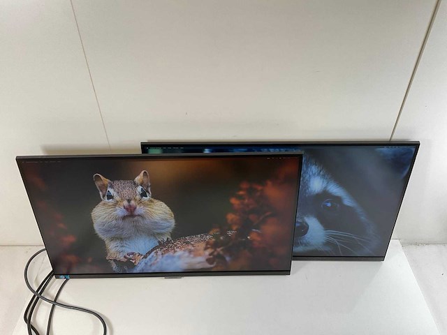 Samsung (s27a600uuu) 27”, 2560x1440 (qhd) ips monitors (2x) - afbeelding 6 van  13