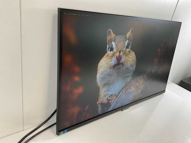 Samsung (s27a600uuu) 27”, 2560x1440 (qhd) ips monitors (2x) - afbeelding 9 van  13