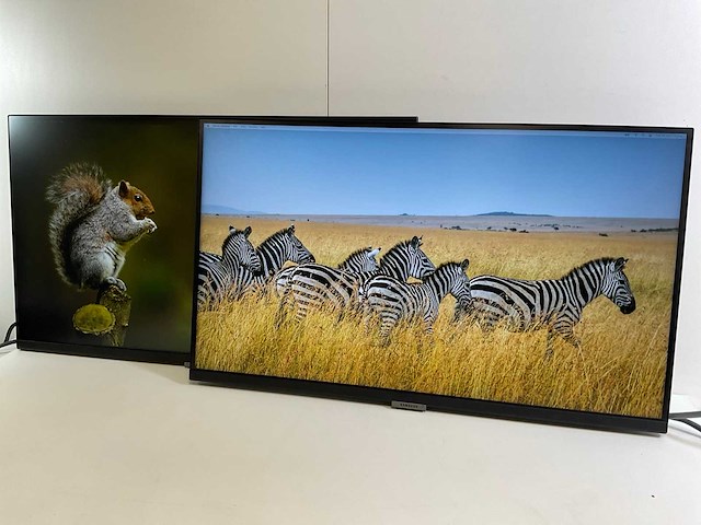 Samsung (s27a600uuu) 27”, 2560x1440 (qhd) ips monitors (2x) - afbeelding 3 van  7