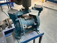 Sand piper oem29 pneumatische membraanpomp - afbeelding 5 van  8