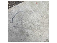 Sanguineti cqr anchor 21 kg galvanized - afbeelding 8 van  16