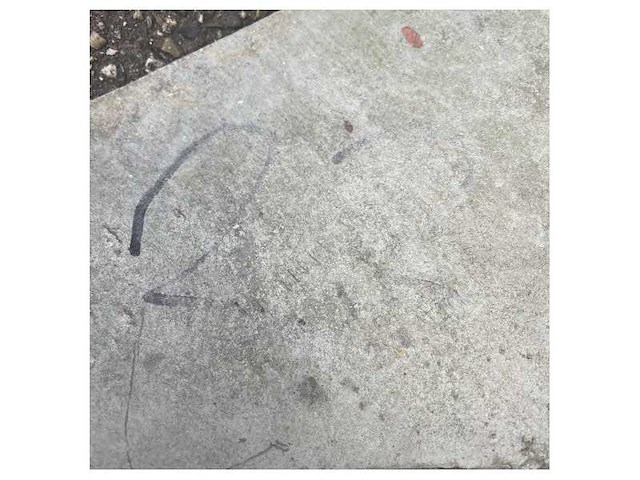 Sanguineti cqr anchor 21 kg galvanized - afbeelding 15 van  16