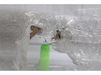 Sanivesk radiator imago duo wit - afbeelding 4 van  4