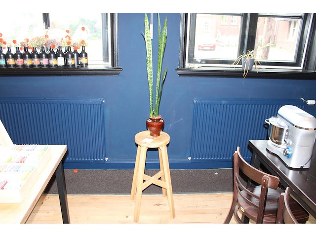 Sanseveria in pot op houten kruk. totale hoogte 168 cm. - afbeelding 1 van  2