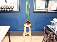 Sanseveria in pot op houten kruk. totale hoogte 168 cm. - afbeelding 1 van  2
