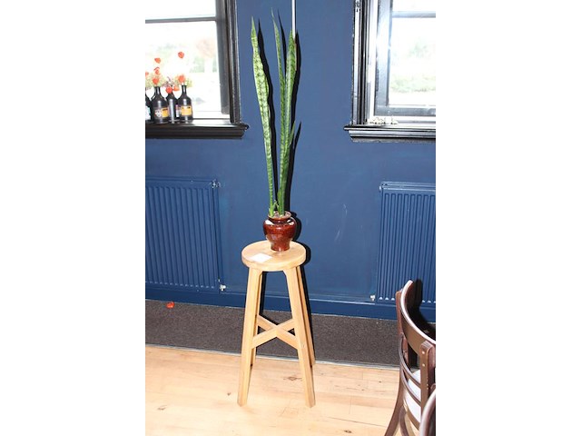 Sanseveria in pot op houten kruk. totale hoogte 168 cm. - afbeelding 2 van  2
