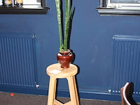 Sanseveria in pot op houten kruk. totale hoogte 168 cm. - afbeelding 2 van  2