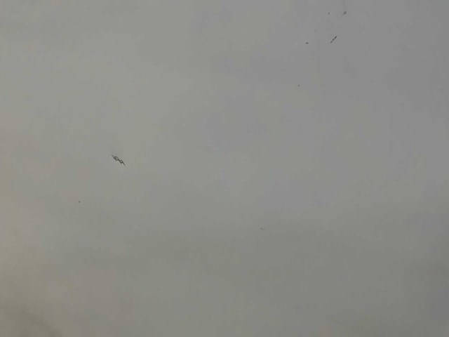 Saro hr 800 v dubbeldeurs koelkast - afbeelding 8 van  10