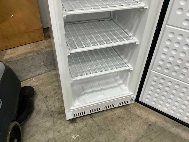 Saro ht 400 vrieskast - afbeelding 4 van  9