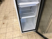 Saro sk 301 glasdeur koelkast - afbeelding 7 van  11