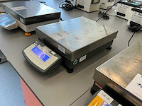Sartorius cpa34000 labbalans - afbeelding 3 van  4