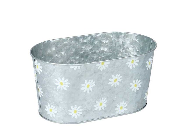 Schaal daisies zinc 22,5x13,5xh11cm (1514x) - afbeelding 1 van  1
