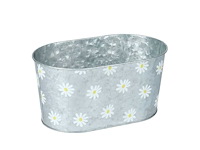 Schaal daisies zinc 22,5x13,5xh11cm (1514x) - afbeelding 1 van  1