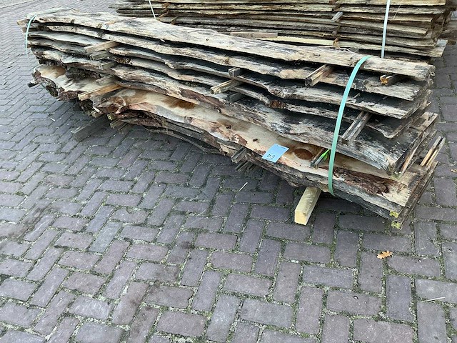 Schaaldeel (12x) - afbeelding 2 van  8