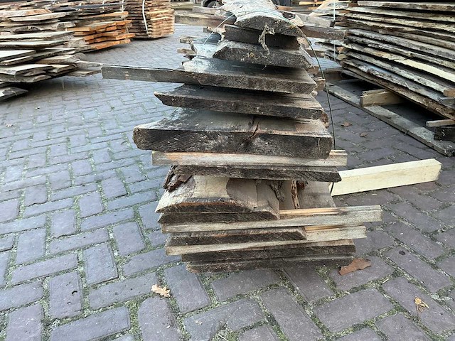 Schaaldeel (12x) - afbeelding 3 van  8