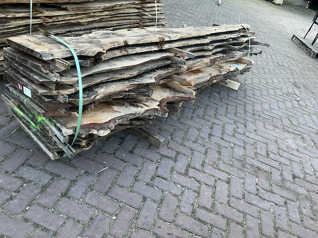 Schaaldeel (12x) - afbeelding 6 van  8