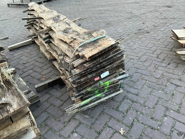 Schaaldeel (12x) - afbeelding 8 van  8