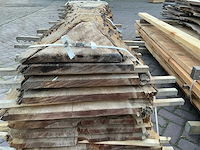 Schaaldeel (12x) - afbeelding 2 van  11