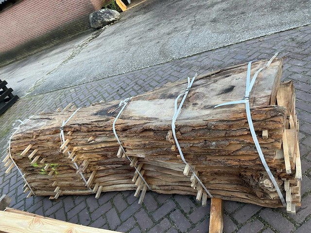 Schaaldeel (12x) - afbeelding 1 van  11