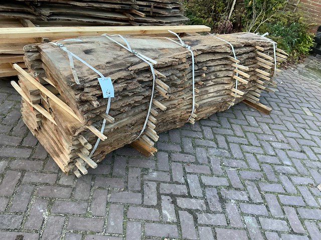 Schaaldeel (12x) - afbeelding 6 van  11