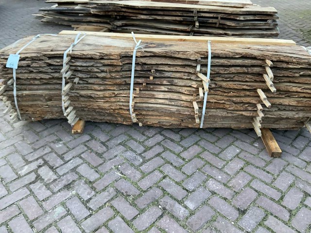 Schaaldeel (12x) - afbeelding 7 van  11