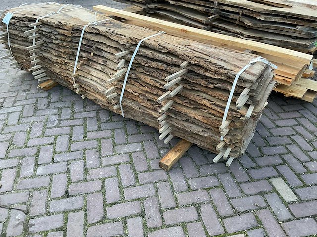 Schaaldeel (12x) - afbeelding 8 van  11