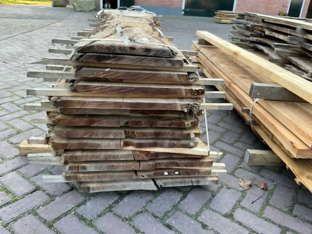 Schaaldeel (12x) - afbeelding 9 van  11