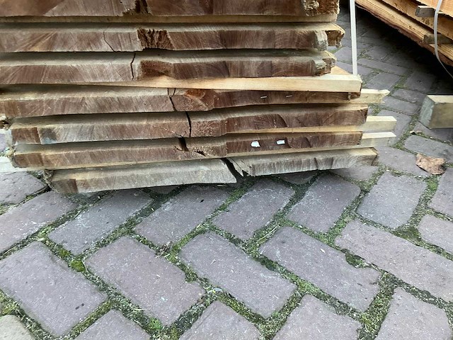 Schaaldeel (12x) - afbeelding 10 van  11