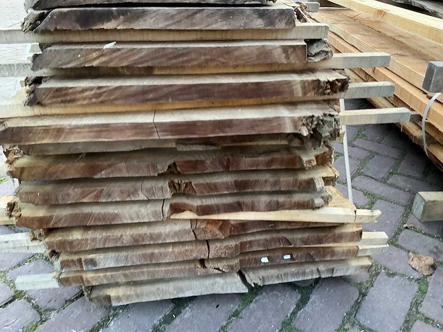 Schaaldeel (12x) - afbeelding 11 van  11