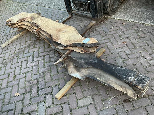 Schaaldeel (5x) - afbeelding 1 van  8