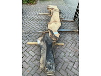 Schaaldeel (5x) - afbeelding 2 van  8