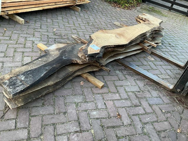 Schaaldeel (5x) - afbeelding 3 van  8