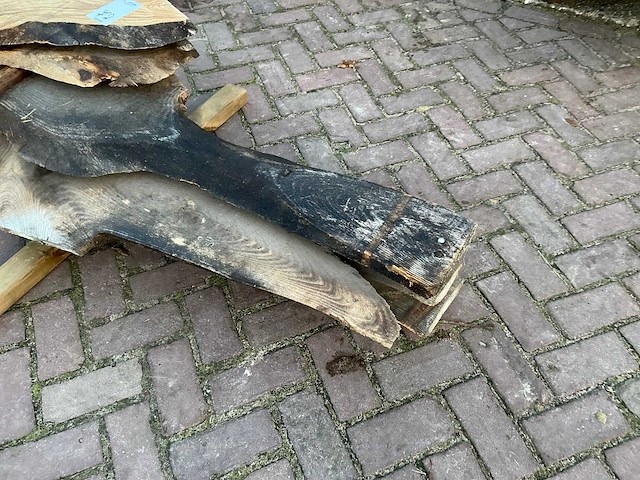 Schaaldeel (5x) - afbeelding 5 van  8