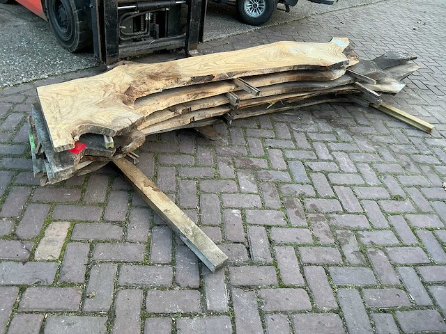 Schaaldeel (5x) - afbeelding 6 van  8