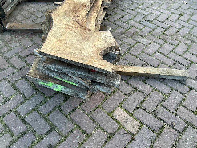 Schaaldeel (5x) - afbeelding 7 van  8