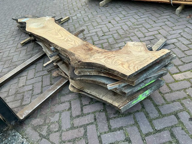 Schaaldeel (5x) - afbeelding 8 van  8