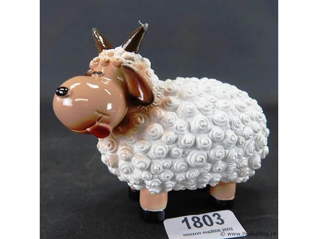 Schaap - afbeelding 1 van  5