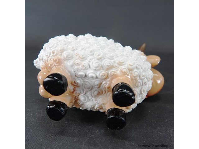 Schaap - afbeelding 5 van  5