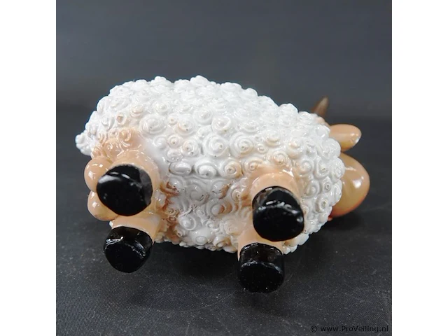 Schaap - afbeelding 5 van  5