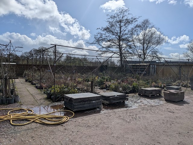 Schaduw-/schermhal - afbeelding 2 van  9