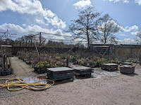 Schaduw-/schermhal - afbeelding 2 van  9