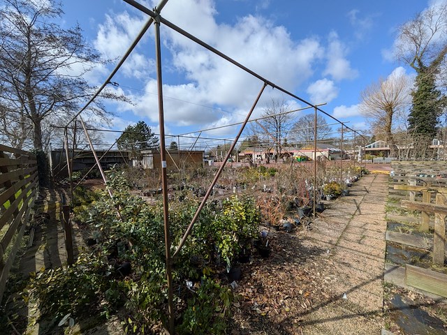 Schaduw-/schermhal - afbeelding 3 van  9