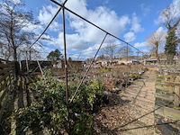 Schaduw-/schermhal - afbeelding 3 van  9