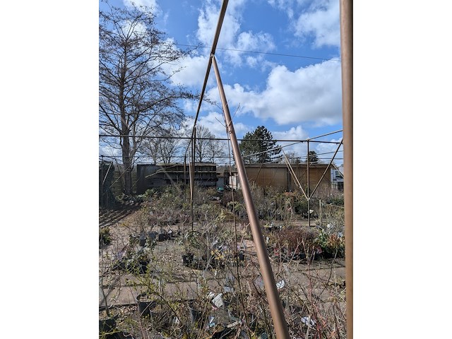 Schaduw-/schermhal - afbeelding 6 van  9