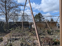 Schaduw-/schermhal - afbeelding 6 van  9