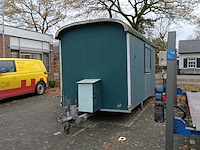 Schaftkeet de meeuw, sw-430 - afbeelding 6 van  13