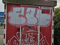 Schaftkeet, kuiper, ast, 2010 - afbeelding 20 van  29