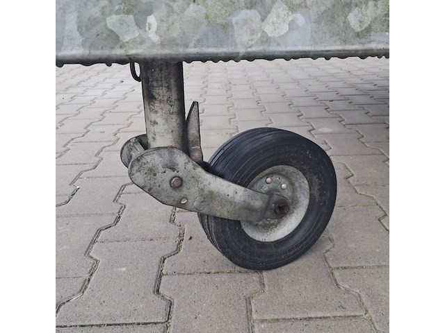 Schaftkeet, kuiper, ast, 2011 - afbeelding 6 van  59