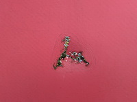 Schaftkeet, kuiper, ast, 2012 - afbeelding 37 van  40