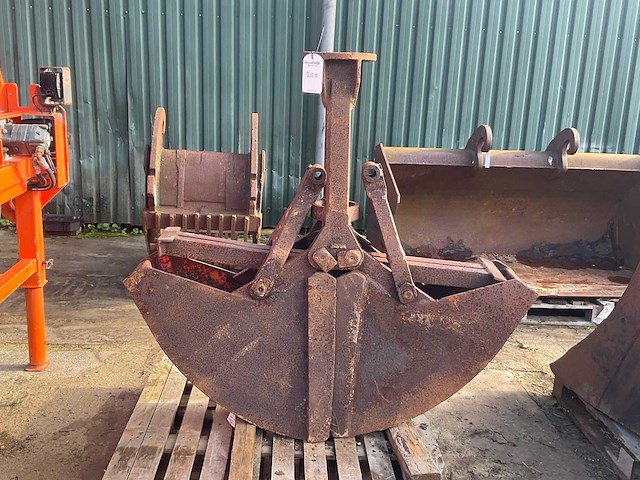 Schalengrijper - afbeelding 2 van  5